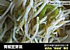 青椒豆芽菜的做法