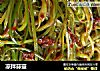 凉拌蒜薹的做法
