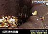 红豆沙水羊羹的做法