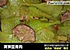 莴笋里脊肉的做法