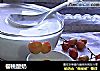 樱桃酸奶的做法