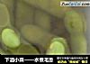 下酒小菜——水煮毛豆的做法