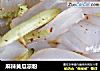 麻辣黄瓜凉粉的做法