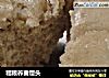 粗粮荞麦馒头的做法