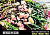 家常蒜米苋菜的做法