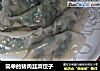 简单的猪肉韭菜饺子的做法