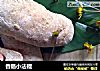 香肠小法棍的做法