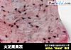 火龙果果冻的做法