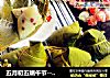 五月初五端午节------学包糯米红豆粽的做法
