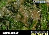 米粉烩莴笋叶的做法