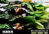 蚝油生菜的做法