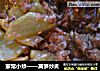 家常小炒——莴笋炒肉的做法