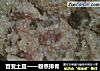 百变土豆——粉蒸排骨的做法