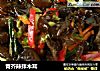 青芥辣拌木耳的做法
