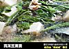 莼菜豆腐羹的做法