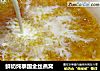 鲜奶炖泰国金丝燕窝的做法