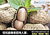 轻松自制老百姓人家的人气磨牙零食——盐水花生的做法
