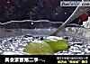 美食家赛第二季--黑豆西米露的做法