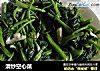 清炒空心菜的做法