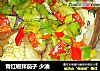 青红椒拌茄子 少油的做法