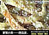 家常小菜——西瓜皮拌蛋皮的做法
