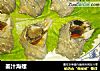 姜汁海螺的做法