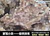 粉蒸排骨做法(53)的做法