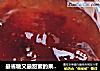 最省糖又最甜蜜的果酱——DIY红提果酱的做法