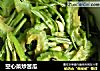 空心菜炒苦瓜的做法