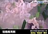粉肠瘦肉粥的做法