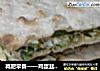 减肥早餐——鸡蛋韭菜盒子的做法