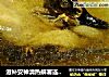 滋补安神清热解署连城白鸭汤的做法