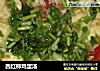 西红柿鸡蛋汤的做法