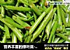 营养丰富的绿叶菜------蒜茸空心菜杆的做法
