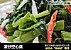 清炒空心菜的做法
