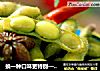 换一种口味更特别——茶香毛豆的做法