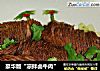 豪华版“凉拌卤牛肉”的做法