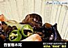 香葱爆木耳的做法