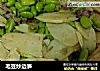 毛豆炒边笋的做法