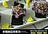 米饭的花样年华—— 杂粮饭团的做法