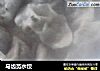 马齿苋水饺的做法