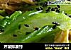 芹菜拌腐竹的做法
