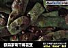 极简家常干煸芸豆的做法