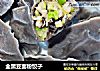 全黑豆面粉饺子的做法