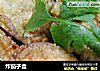 炸茄子盒的做法