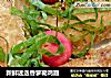 新鲜迷迭香萝勒鸡翅的做法