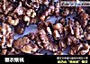 糖衣核桃的做法
