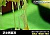 芝士焗薯泥的做法