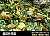 韭菜炒鸡蛋的做法