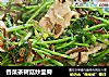 香菜茶树菇炒里脊的做法